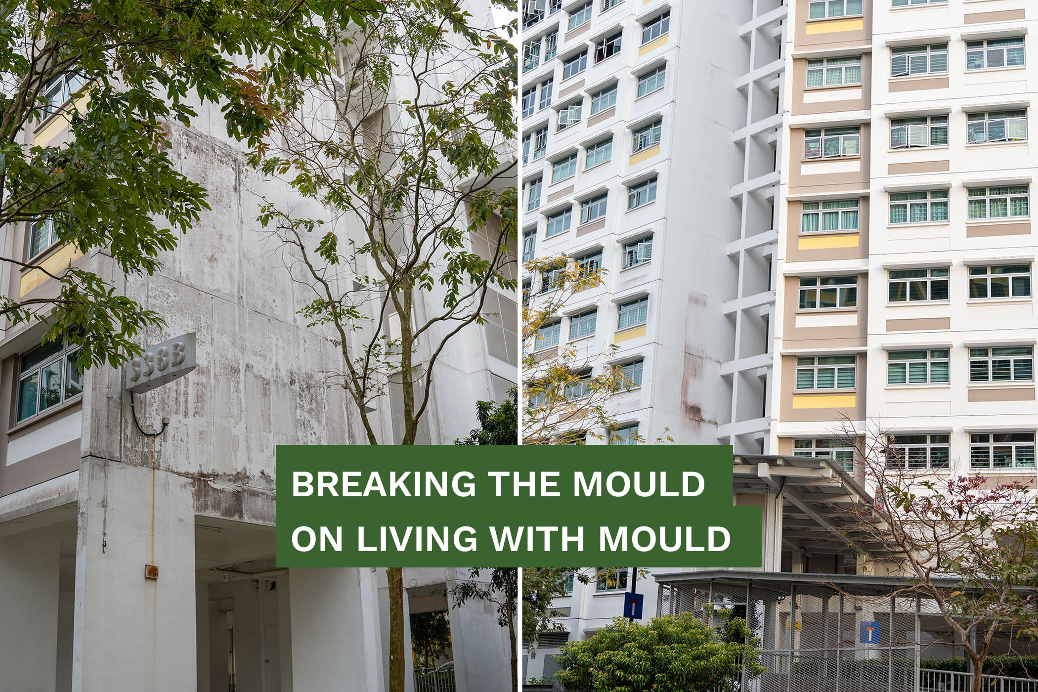 Breaking the mould on living with mould